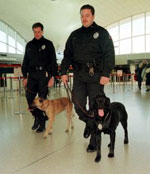 K9atairport Enhancing Your Security Level With A Trained Guard Dog